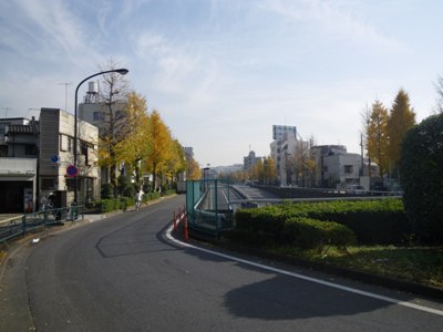 環八通り 多摩川線との踏切